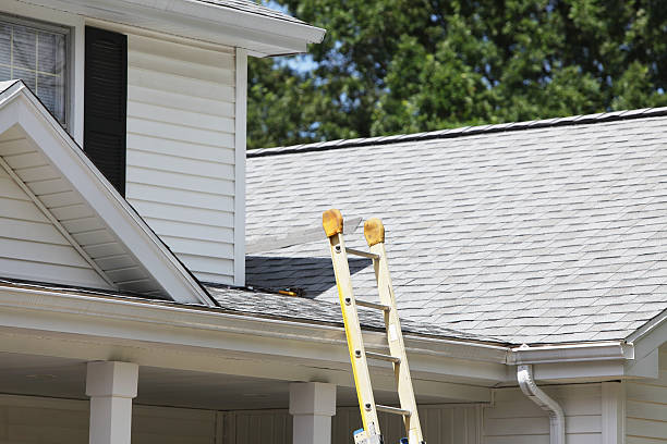Professional Siding Installation & Repair in Fruitland, NC